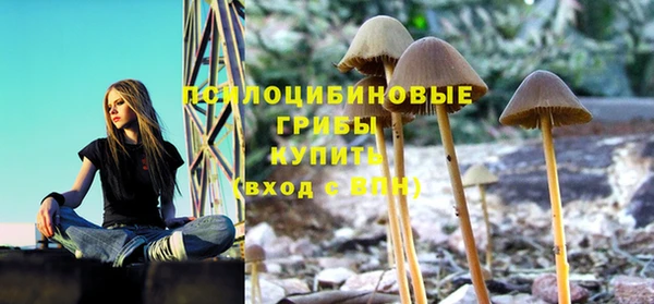 PSILOCYBIN Балахна